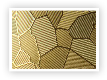 Textured SS Design Sheet Exporter